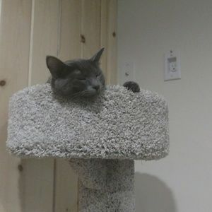 Meet your Posher, Lissa