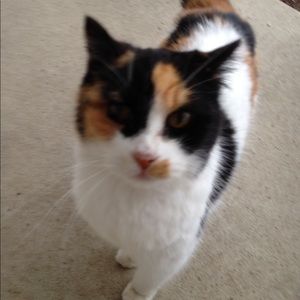 Meet your Posher, Jule