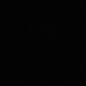 Meet your Posher, Curtis