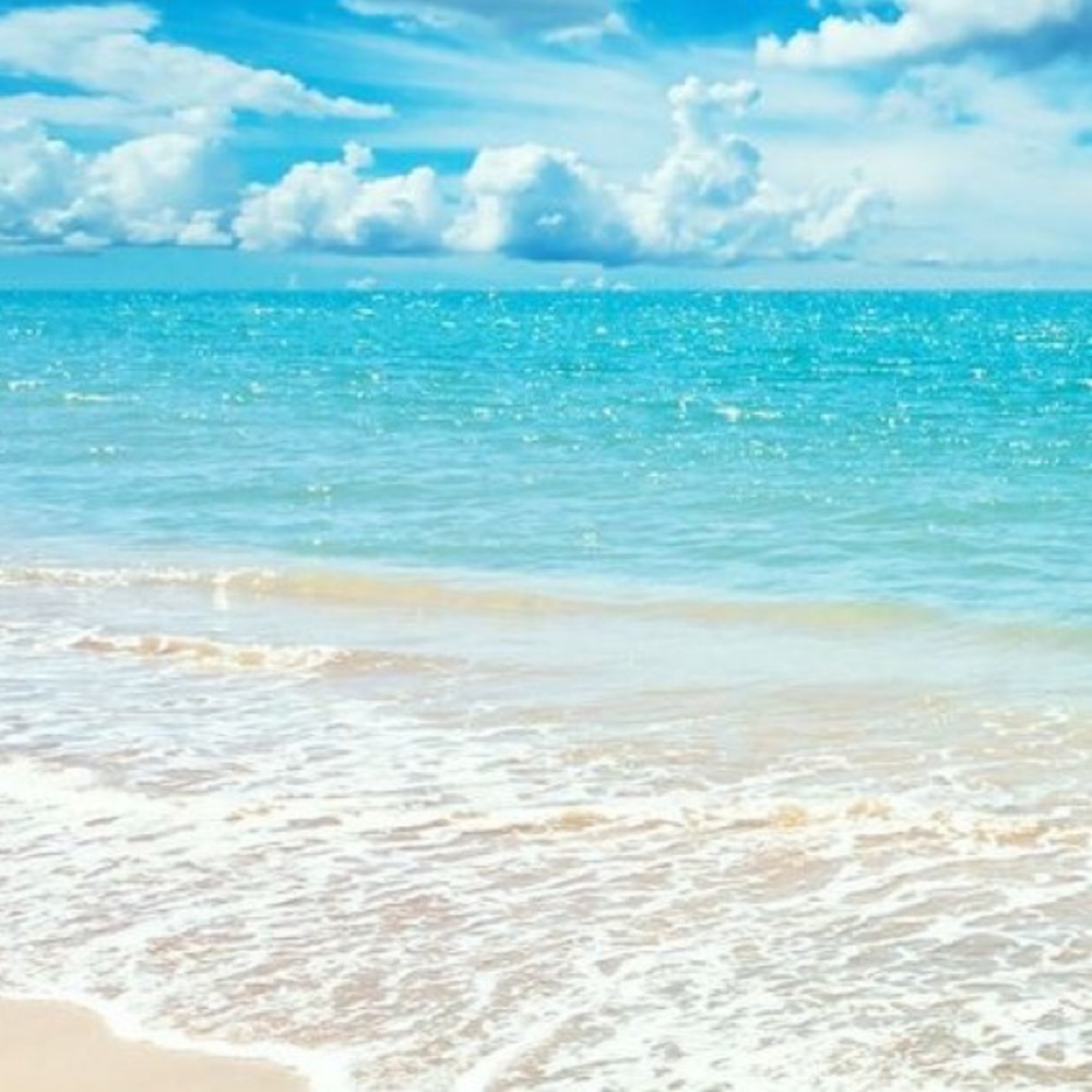 Meet your Posher, Odeya