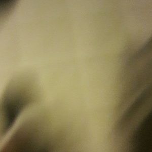 Meet your Posher, Rosa