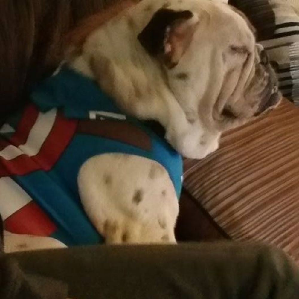 Meet your Posher, Cathy mills