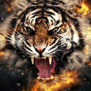 Meet your Posher, Kenneth