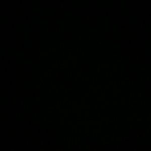 Meet your Posher, Alena