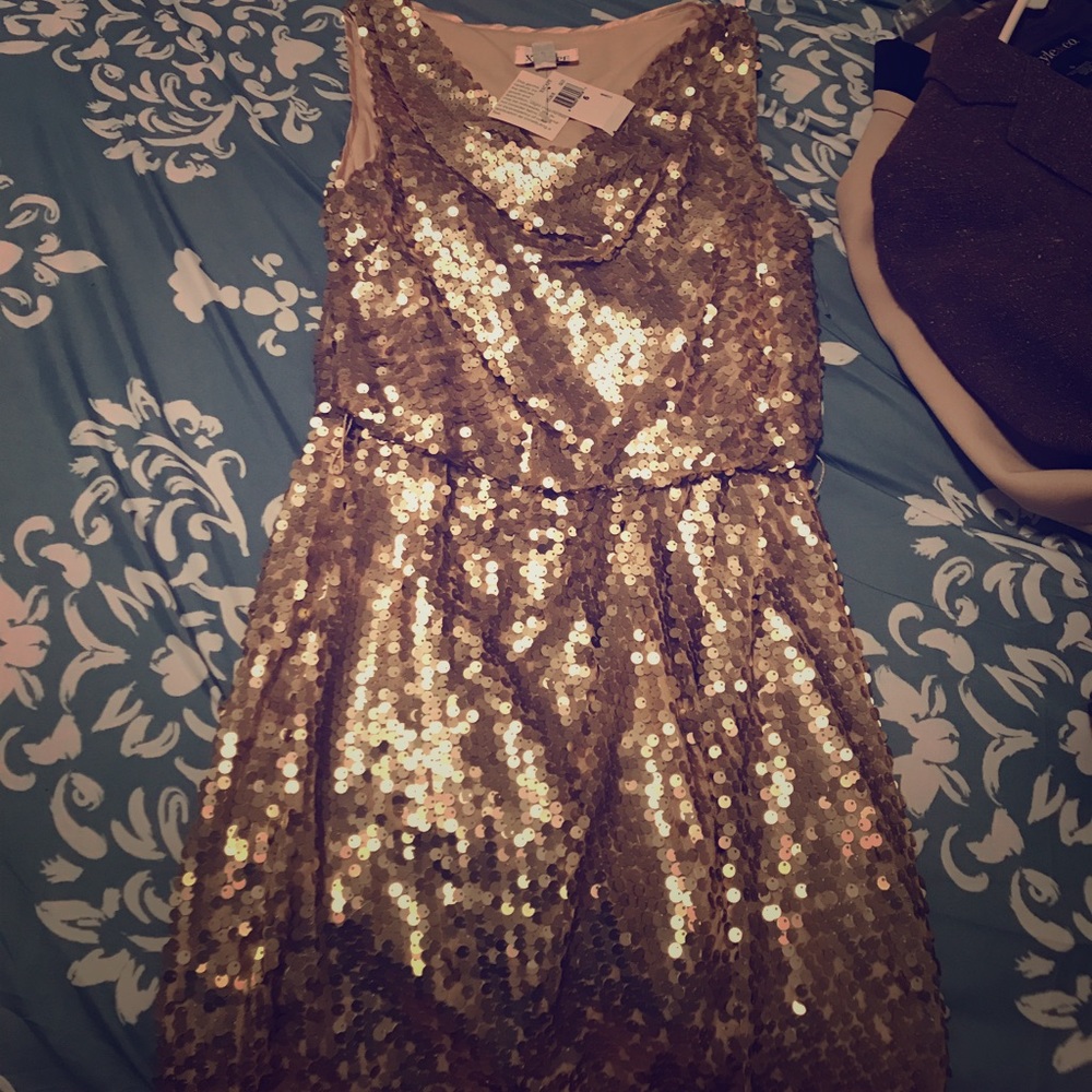 Glitter sequin xscape dress