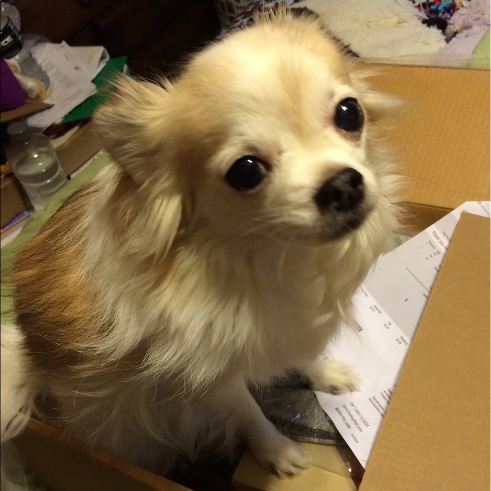 Meet your Posher, Nancy