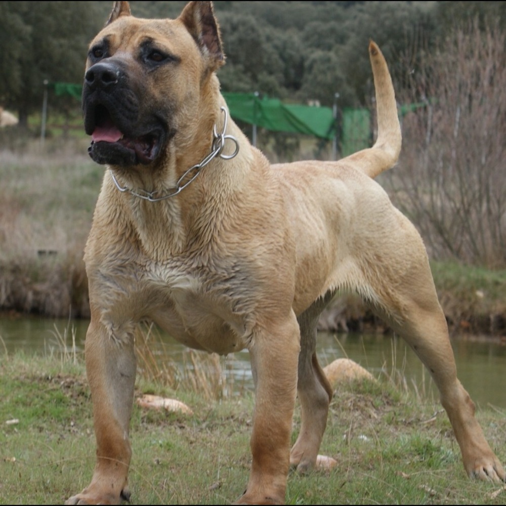 Meet your Posher, Travis