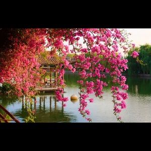 Meet your Posher, Jess