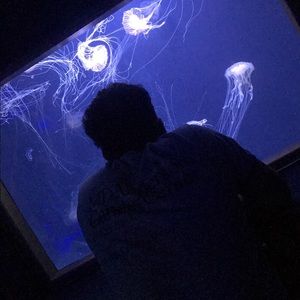 Meet your Posher, Jonathan