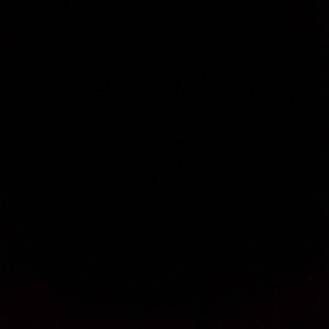 Meet your Posher, Ashlie