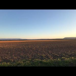 Meet your Posher, Cody