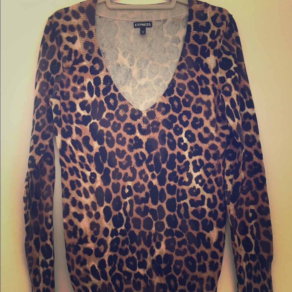 Express Leopard V-Neck Sweater Size M