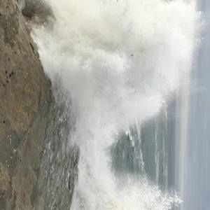 Meet your Posher, Randy