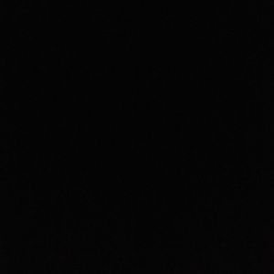 Meet your Posher, Daniela