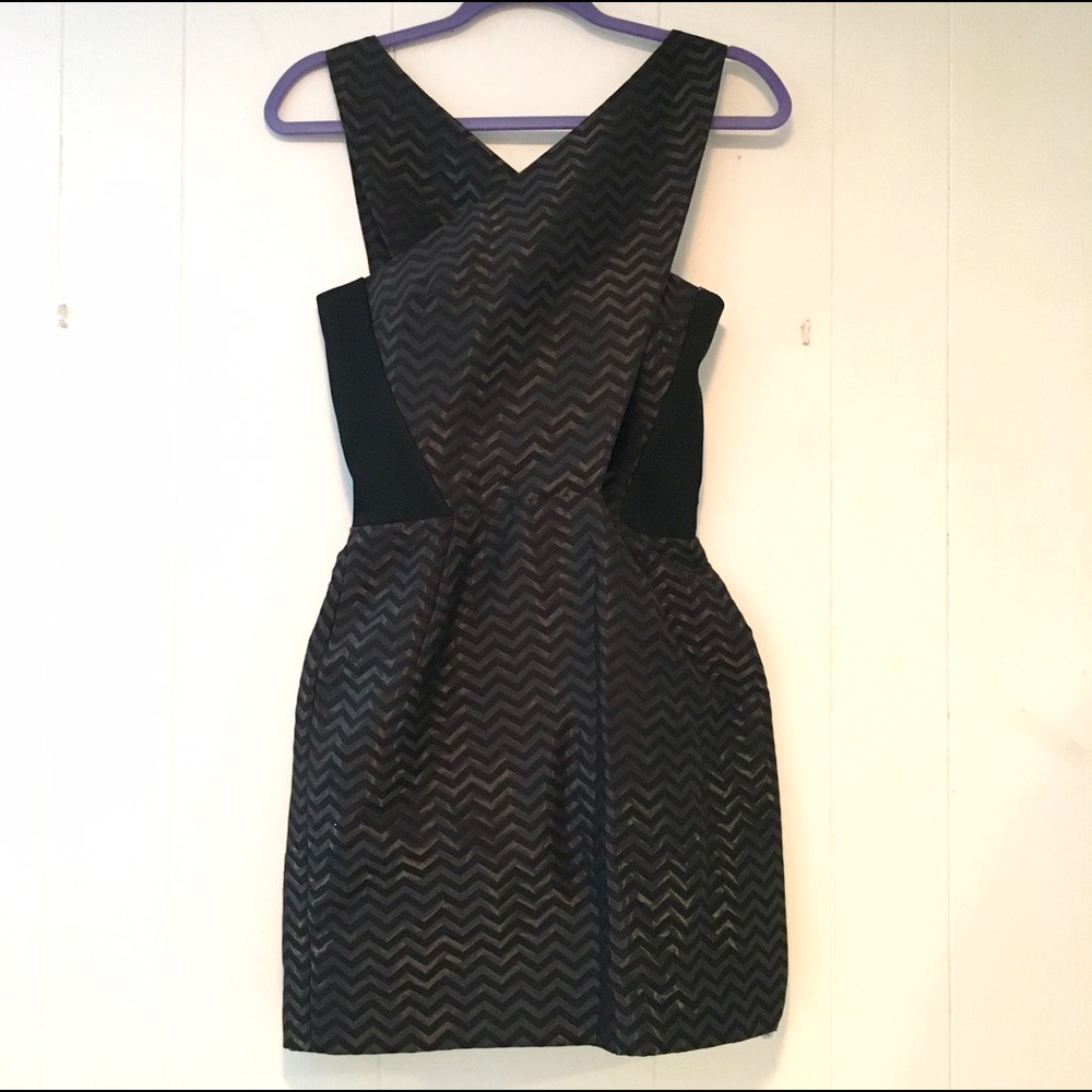 NWT Sass and Bide TeaDyed Cocktail Party Dress XS