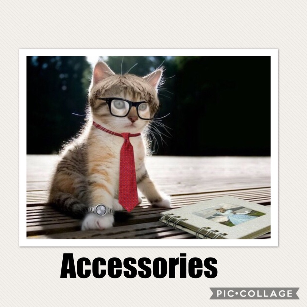 Accessories: Jewelry, Glasses, Hats, Belts, Etc