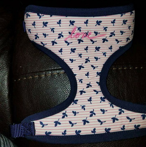 degeneres harness nike ed degeneres print comfort harness from loren s closet on poshmark degeneres harness nike ed degeneres print comfort harness from loren s closet on poshmark