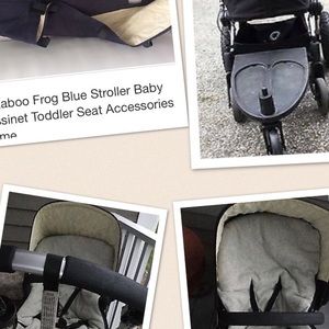 Bugaboo frog