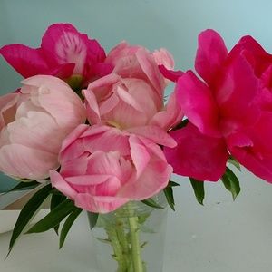 Meet your Posher, Cathy