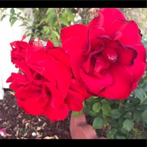 Meet your Posher, Jaeden