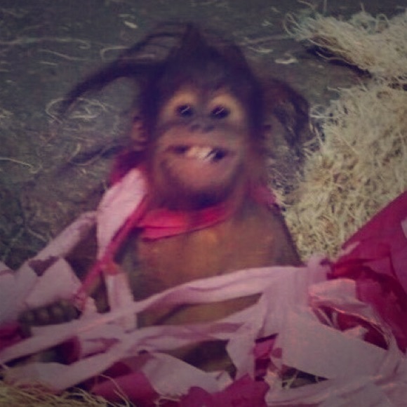 Friendship - Picture 1 of 1