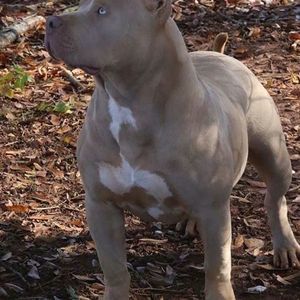 Meet your Posher, Keith