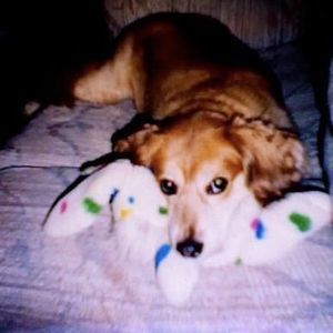 Meet your Posher, Tammy