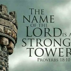 Meet your Posher, Vivian