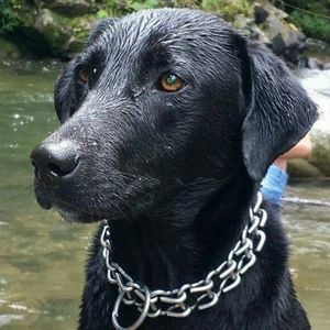 Meet your Posher, Alejandro