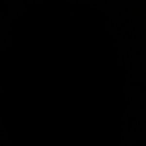 Meet your Posher, Elvin