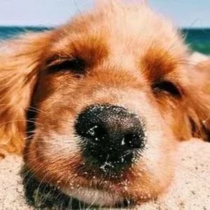 Meet your Posher, Faith