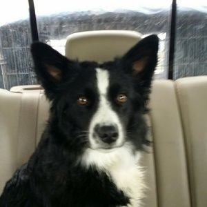 Meet your Posher, Charlee