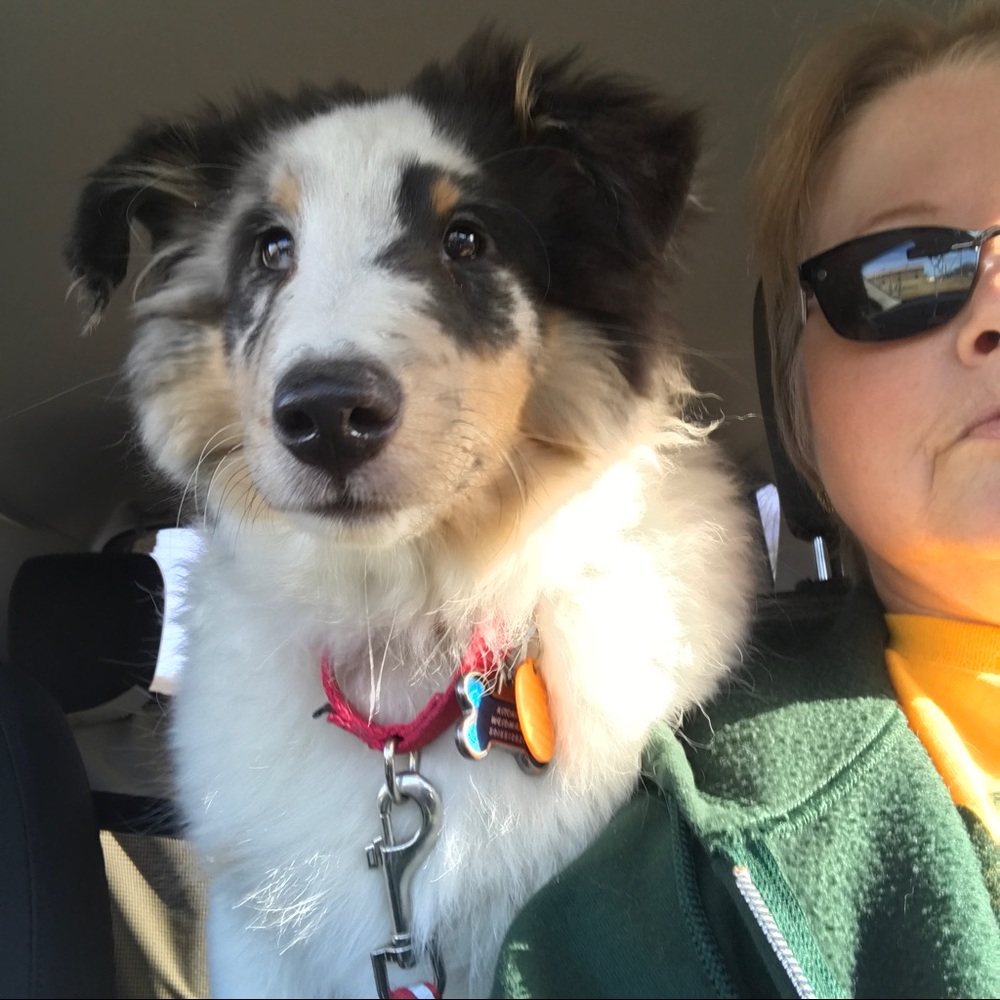 Meet your Posher, Becky