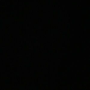 Meet your Posher, Ninn