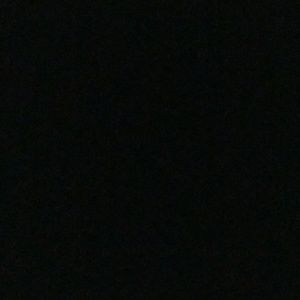 Meet your Posher, Daisy