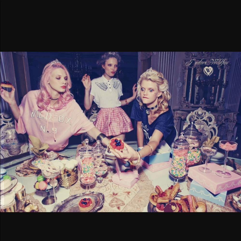 Massive Wildfox Collection 🦄🥂