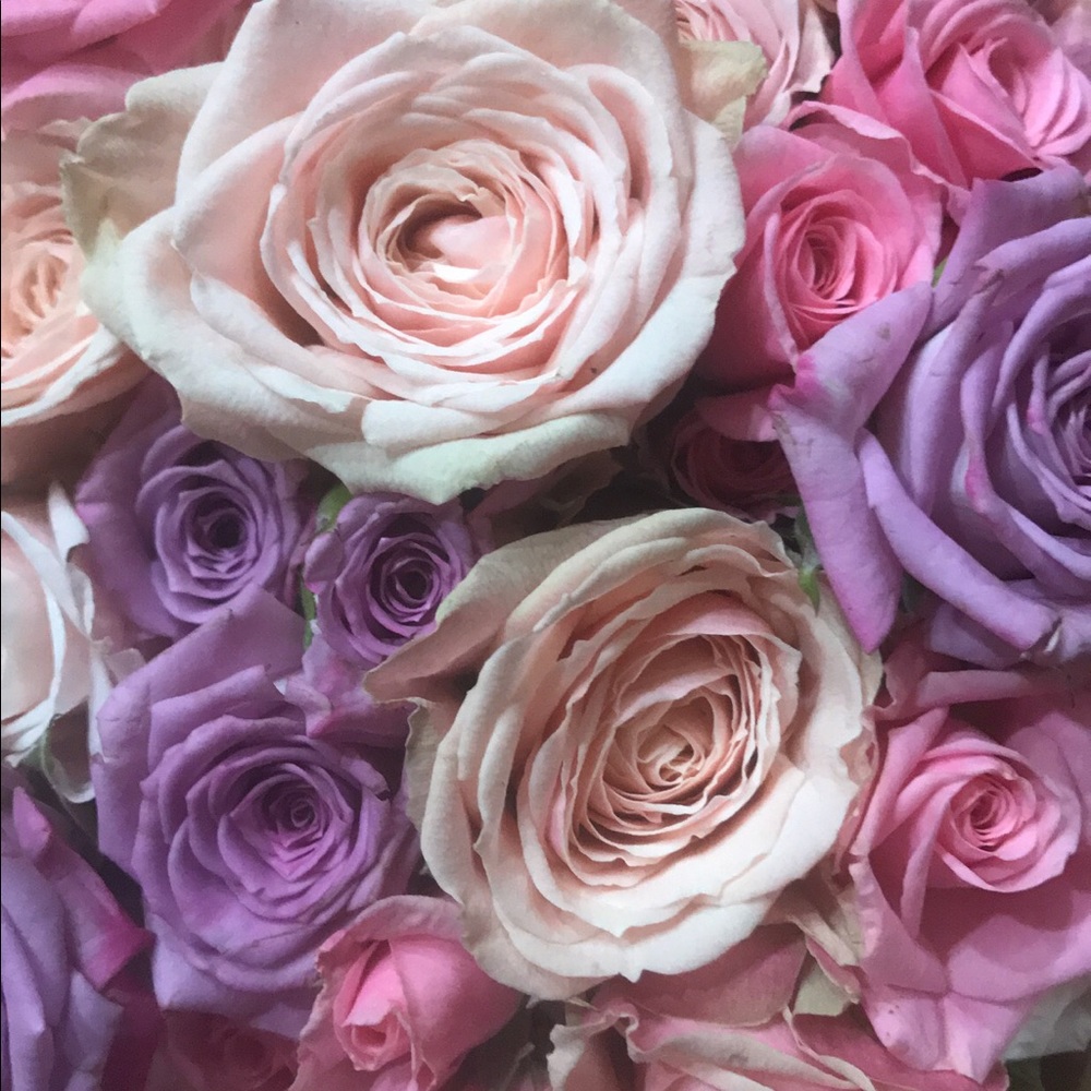 Meet your Posher, Chelita