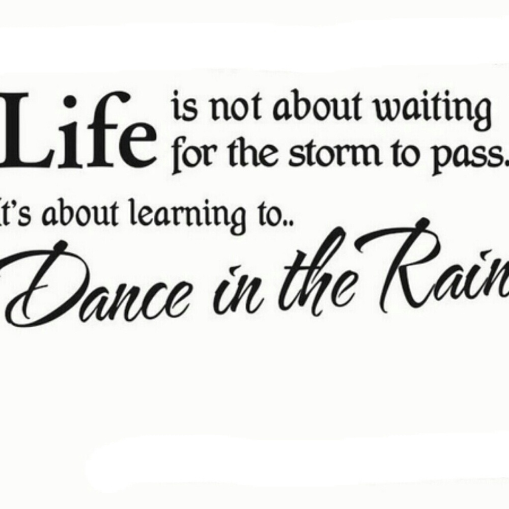 NWOT WINDOW WALL STICKER CLING