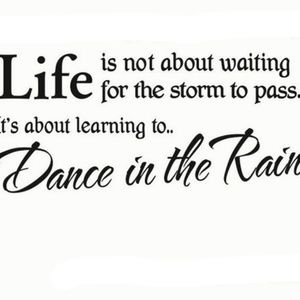 NWOT WINDOW WALL STICKER CLING