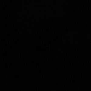 Meet your Posher, Joi