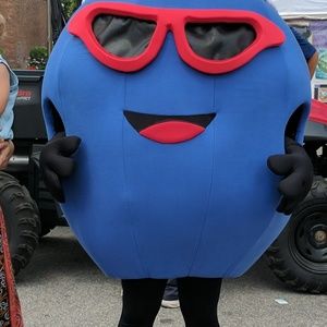 Meet your Posher, Joyce