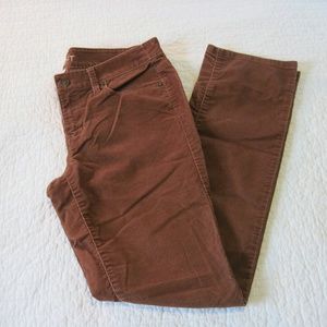 Loft Thin Wale Corduroy Pants Modern Straight