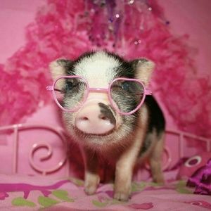 Meet your Posher, Annette