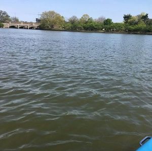 Meet your Posher, Ozlem