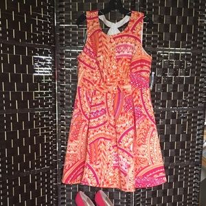 Sandra Darren Fuchsia and Orange sundress
