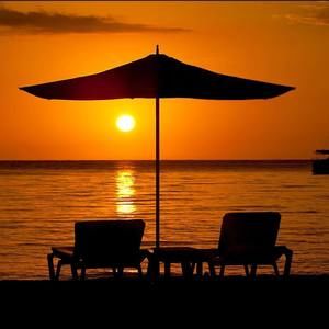 Meet your Posher, Jonesing