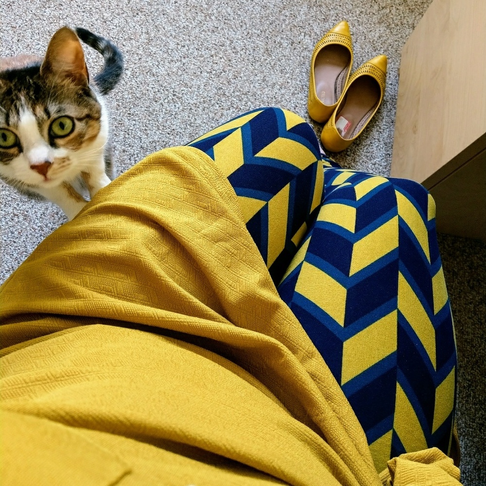 Posh Ambassador! Meet the Posher!