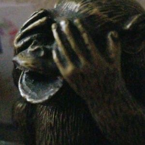 Meet your Posher, Darlene