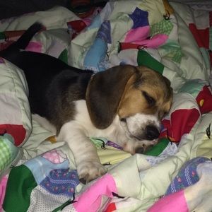 Meet your Posher, Myranda