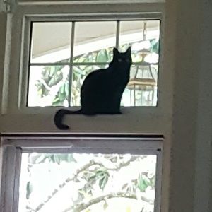 Meet your Posher, Annette